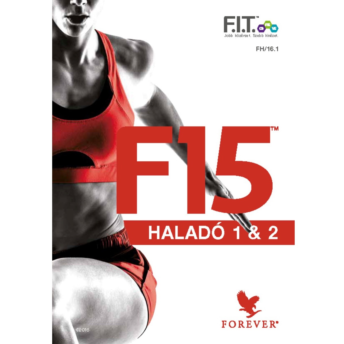 F15 katalógus Advanced (haladó)