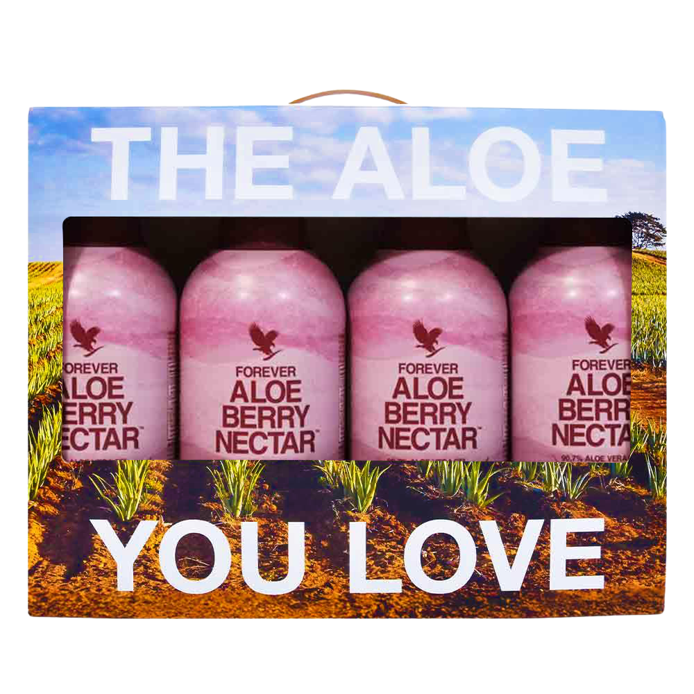 4 Pack Aloe Berry Nectar